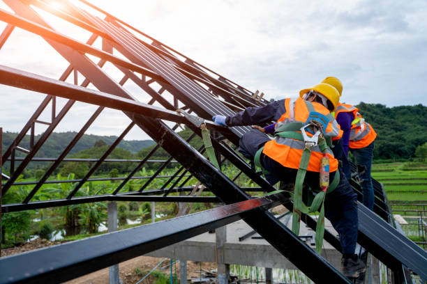 Best Storm Damage Roof Repair  in Palatine, IL