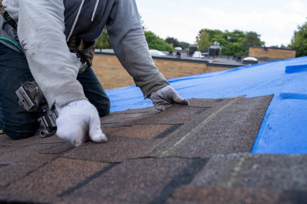 Quick and Trustworthy Emergency Roof Repair Services in Palatine, IL